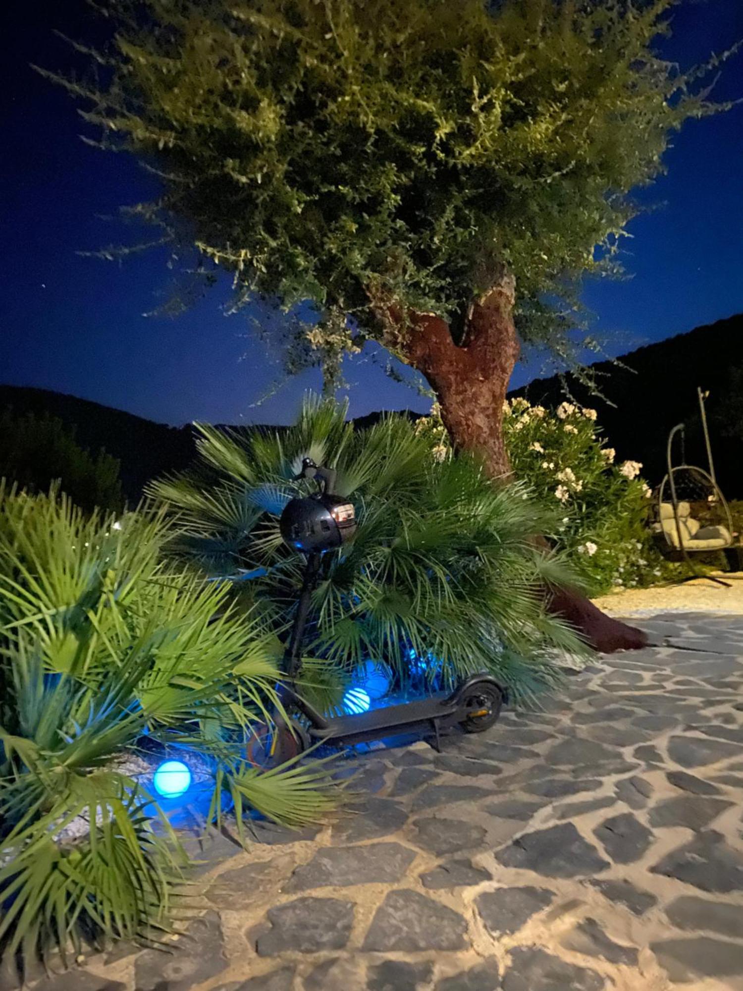 Belle Chambre Privee Avec Le Jardin Privatif Et Le Jacuzzi Cavalaire-sur-Mer Exterior foto